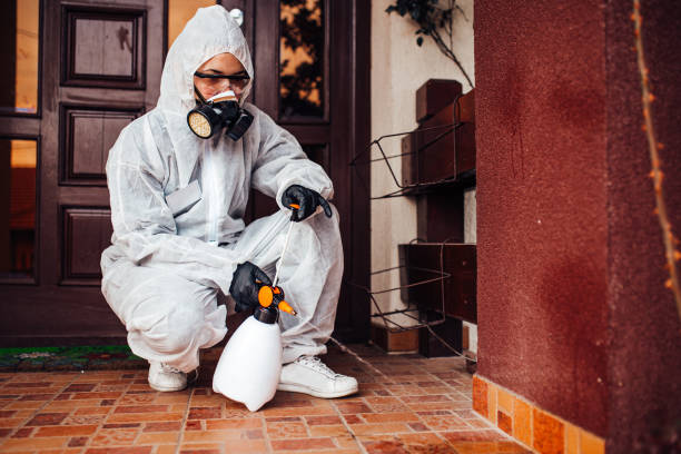 Reliable Ant Control contractor in Archer Lodge, NC by Nex Pest Control