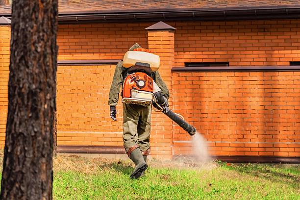 Trusted Cockroach Control service in Archer Lodge, NC - Nex Pest Control